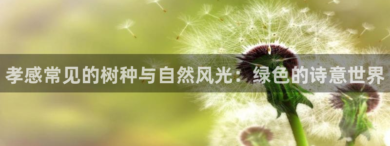 新宝gg软件下载