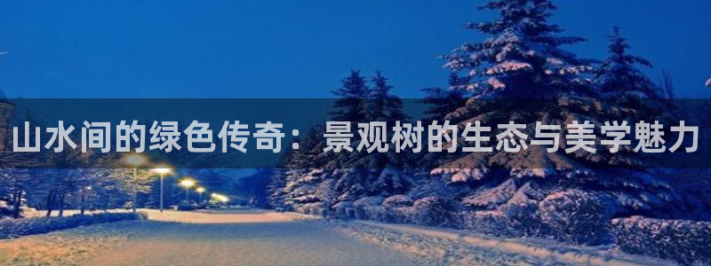 www.新宝gg