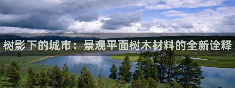 新宝gg返点模式