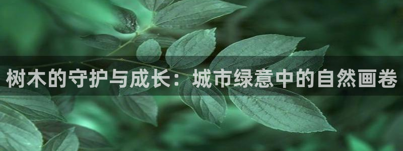 新宝gg正规：树木的守护与成长：城市绿意中的自然画卷