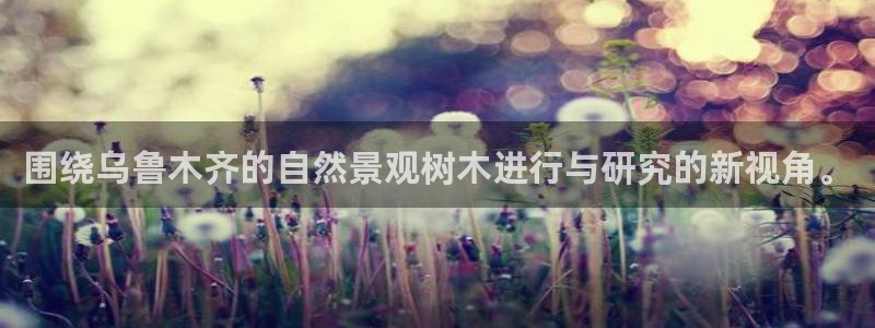 新宝gg属于