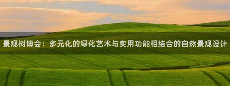 新宝gg客服电话