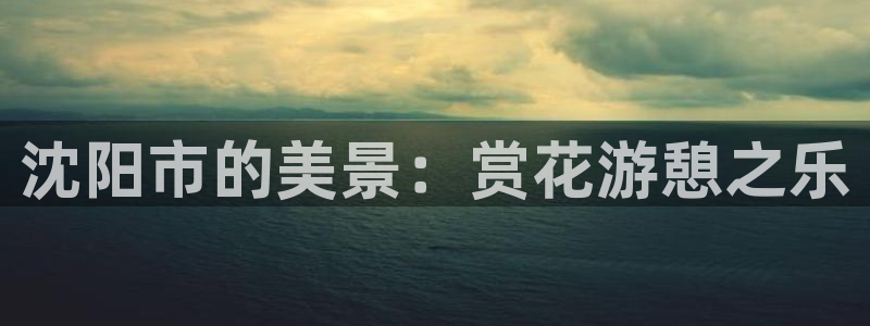 新宝gg创造奇迹下载