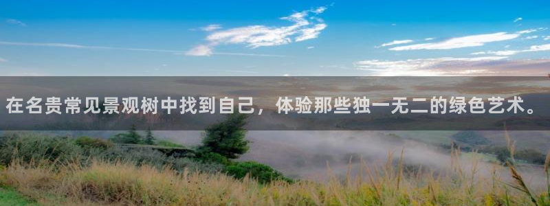新宝gg-创业奇迹