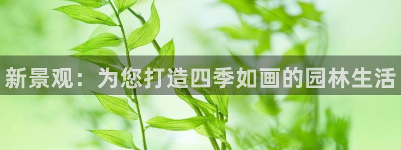 新宝gg主管、