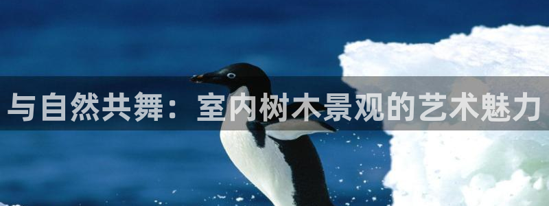 新宝gg — 创造!