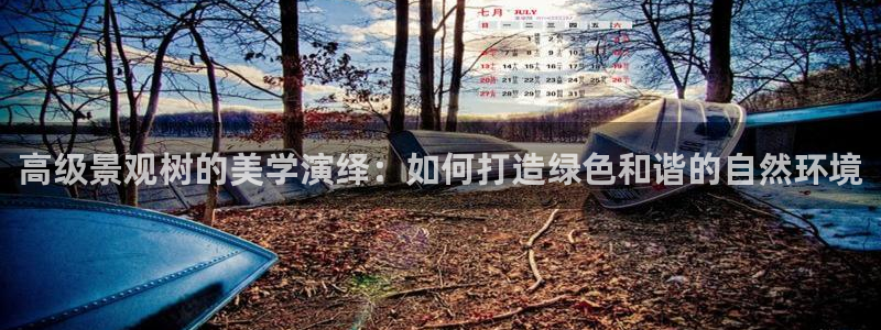 新宝gg娱乐上皇巢网：高级景观树的美学演绎：如何打造绿色和谐的自然环境
