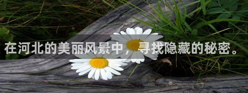 创造奇迹新宝gg