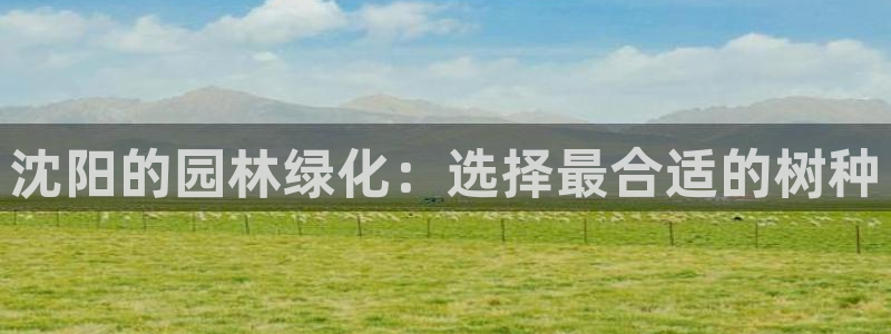 新宝gg游戏平台：沈阳的园林绿化：选择最合适的树种