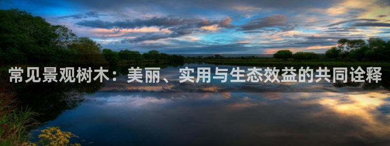新宝gg博客：常见景观树木：美丽、实用与生态效益的共同诠释