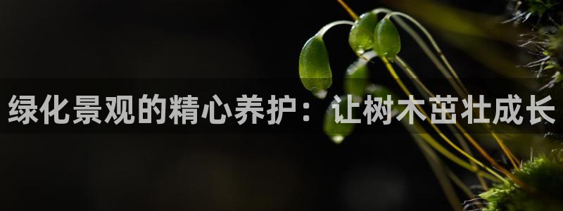 新宝gg地址新宝二