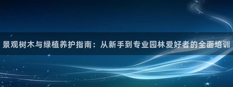 新宝gg如何代理