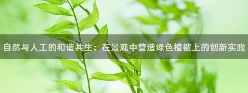 新宝GG娱乐-上皇巢网