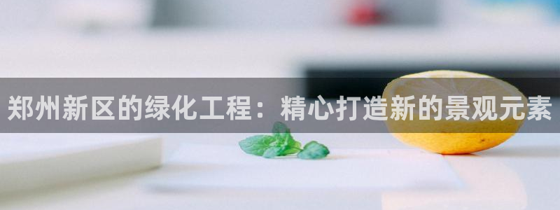 新宝gg怎么样