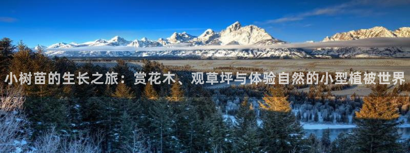 新宝gg官网