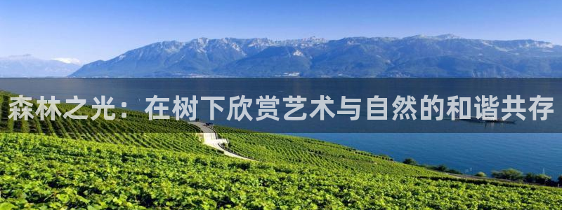 新宝gg创造奇迹平台