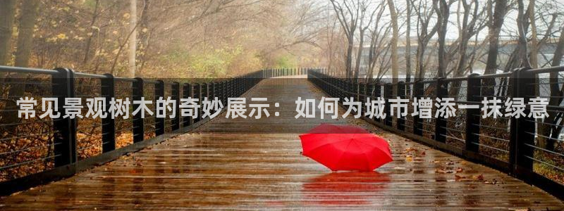 gg新宝时时彩