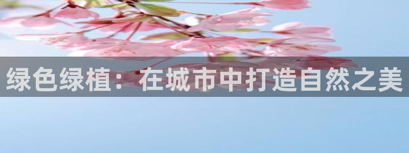 新宝GG专业团队