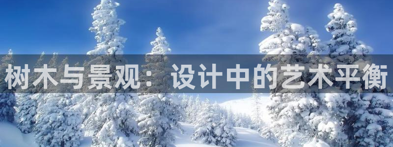 新宝gg怎么开户