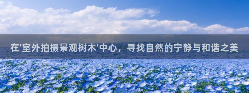 新宝gg平台连接