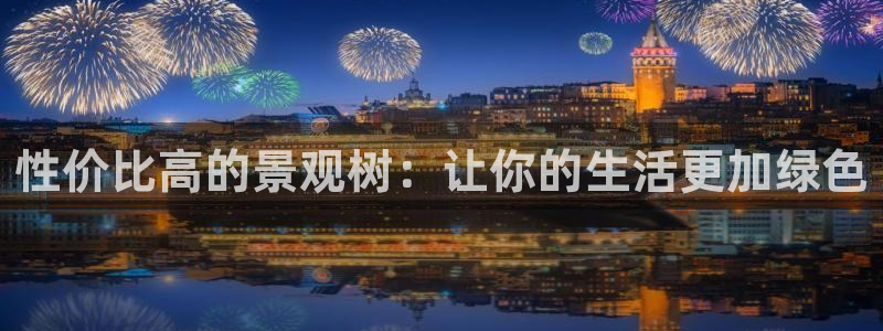 新宝gg平台怎么样