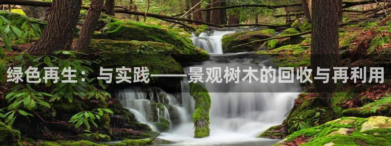 新gg官网_新宝GG创造奇迹