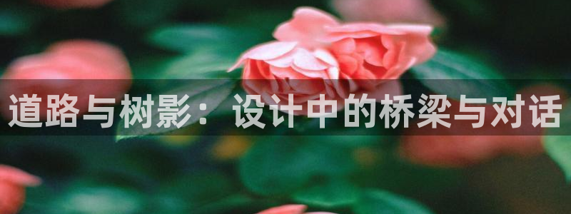 新宝gg怎么开户