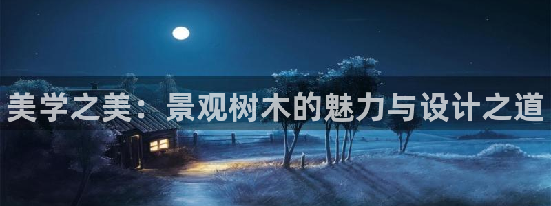 新宝gg平台首页