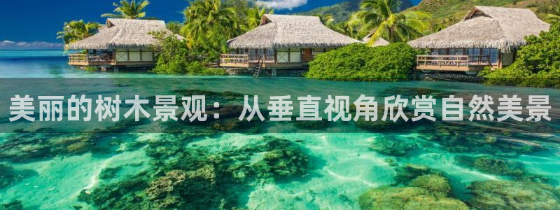 新宝gg官方下载