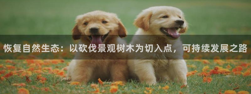 新宝GG手机客户端