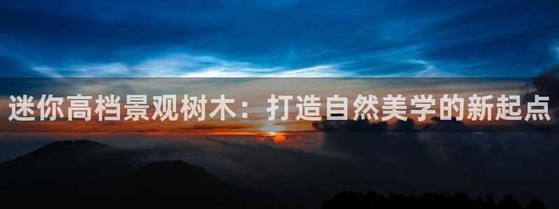 新宝GG—创造奇迹