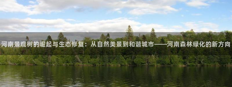 新宝gg用哪个浏览器