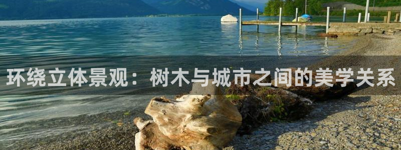 新宝gg高频彩票