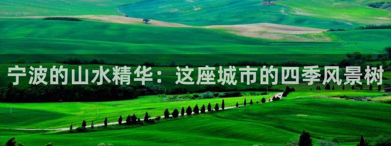 怎么代理新宝gg