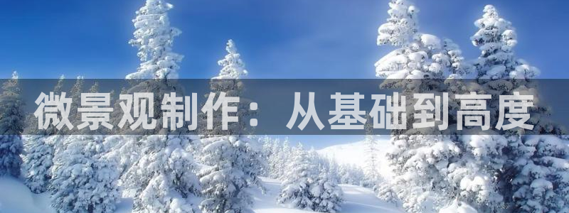新宝gg走势