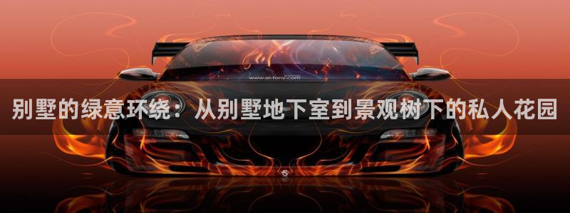 正版新宝gg