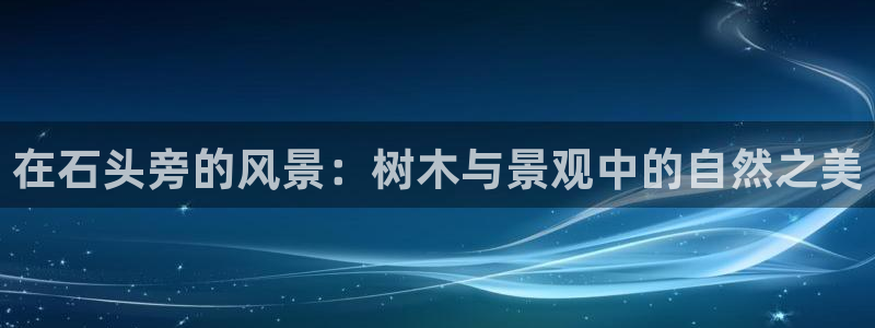 新宝gg盈亏