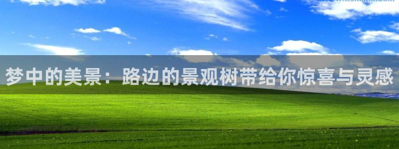 新宝gg怎么做代理