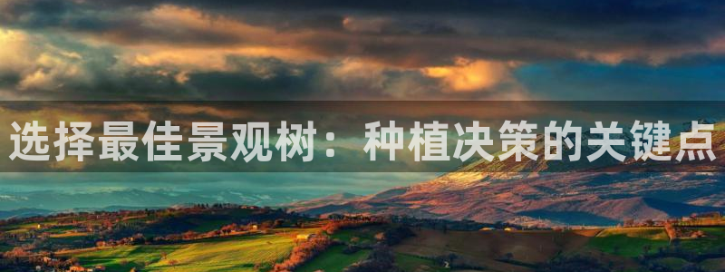 新宝gg返点模式