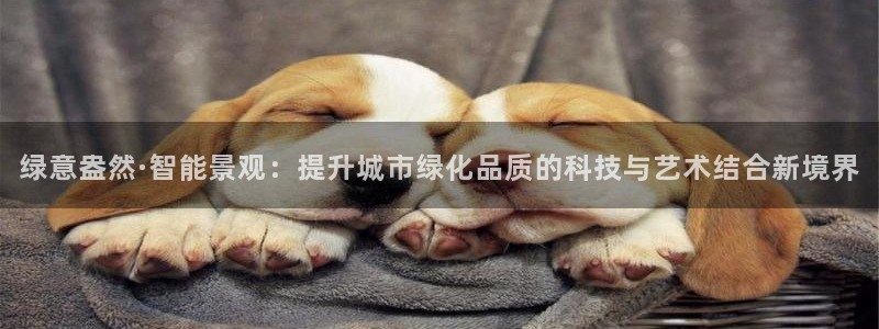 新宝gg怎么做代理