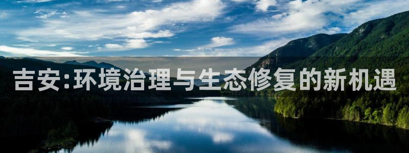 新宝gg是什么