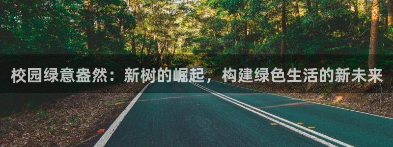新宝gg网址