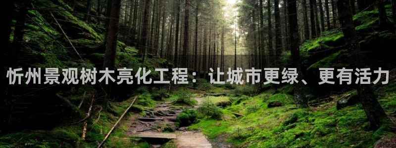 新宝gg手机版下载