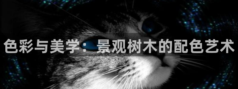 新宝GG官方域名