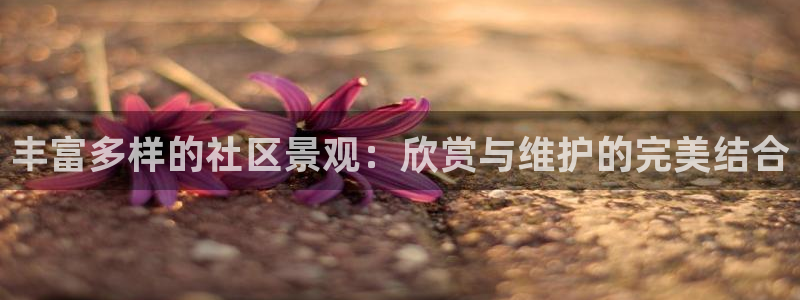 新宝gg创造奇迹
