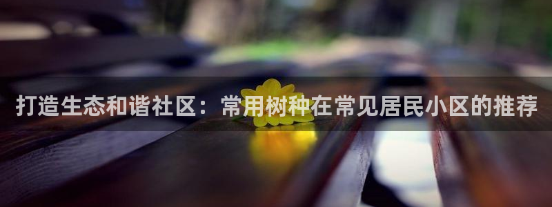 新宝gg如何代理