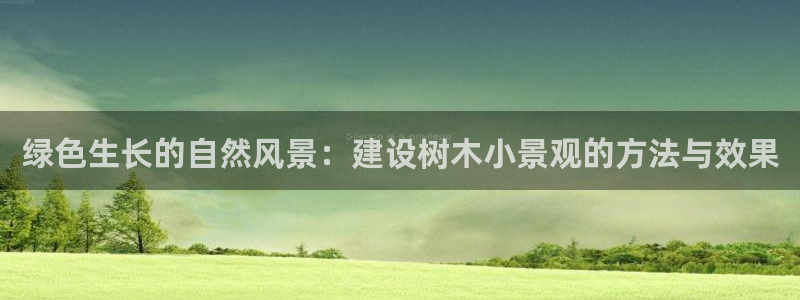 新宝gg盈亏