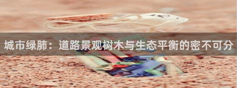 新宝gg娱乐平台