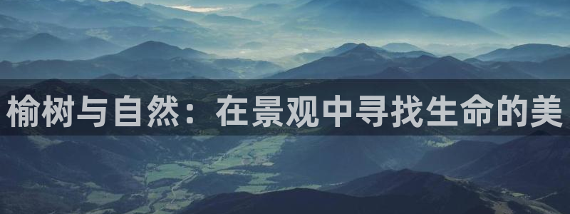 新宝gg创造奇迹平台