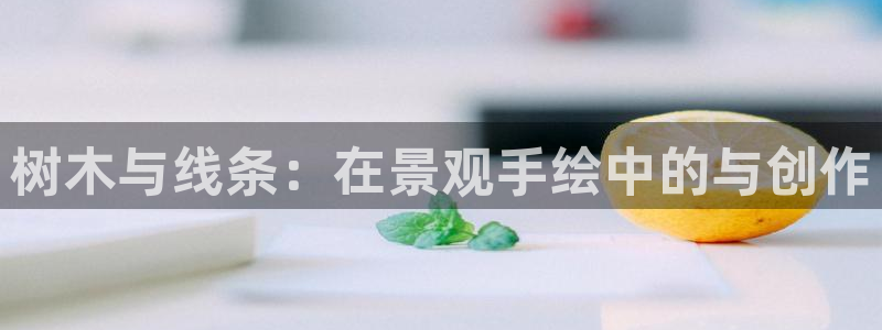 新宝gg如何代理